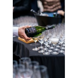 El Espiritu de Cachapoal Brut